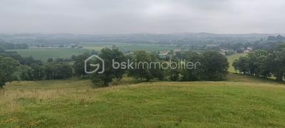 Terrain - 6 197 m²