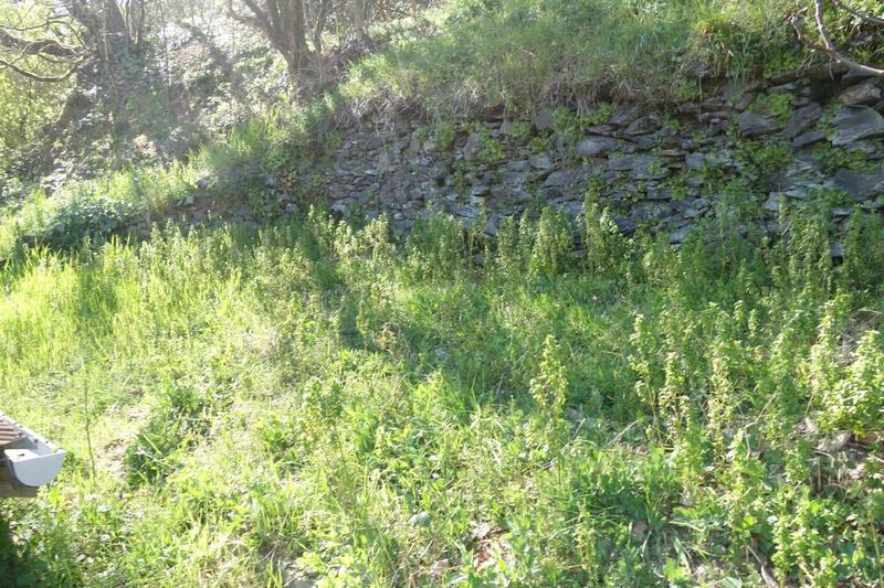 Maison ancienne - 78 m² - 3 pièces