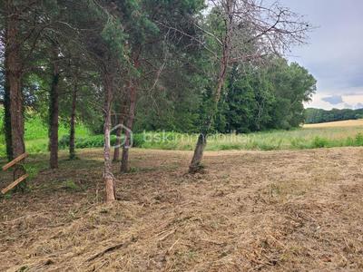 Terrain constructible - 1 000 m²
