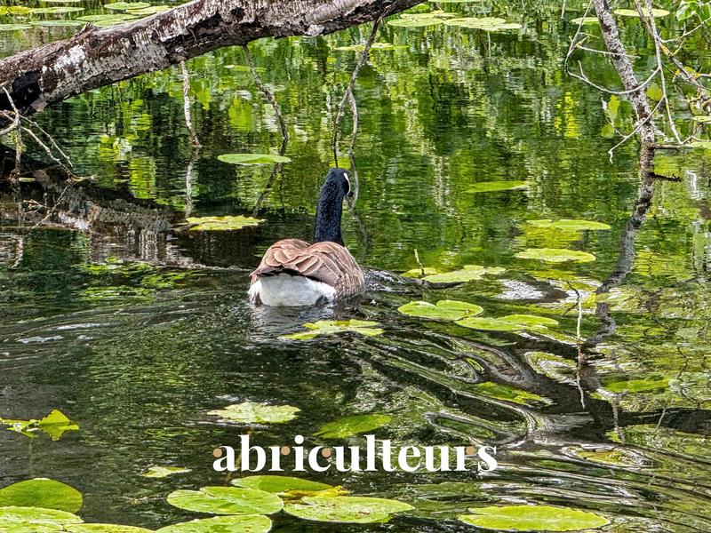 Château - 1 000 m² - 16 pièces
