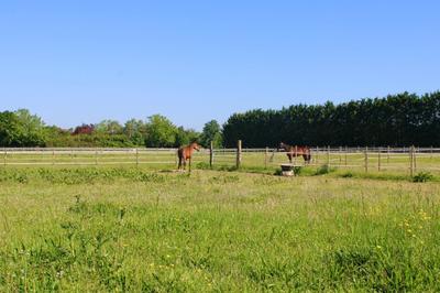 Maison - 152 m² - 7 pièces