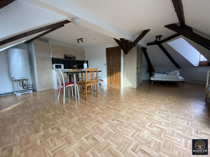 Appartement - 49 m² - 1 pièce