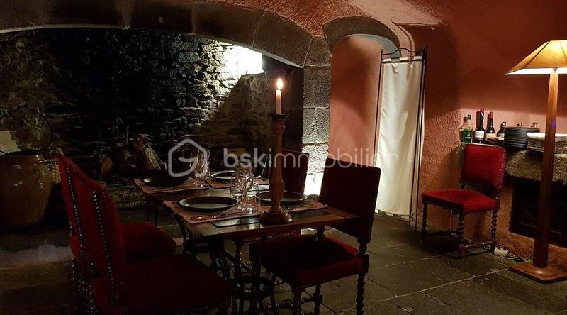 Château - 700 m² - 21 pièces