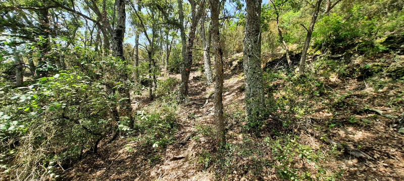 Terrain de loisirs - 17 646 m²