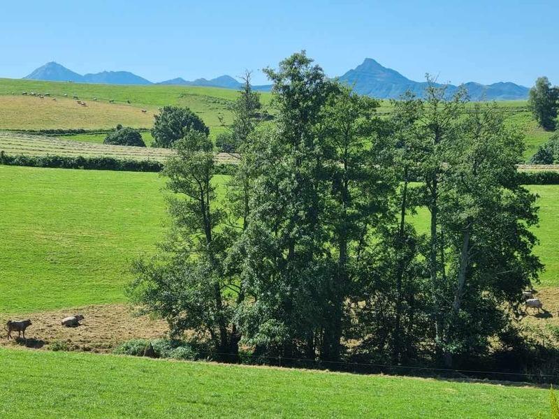 Maison - 230 m² - 8 pièces