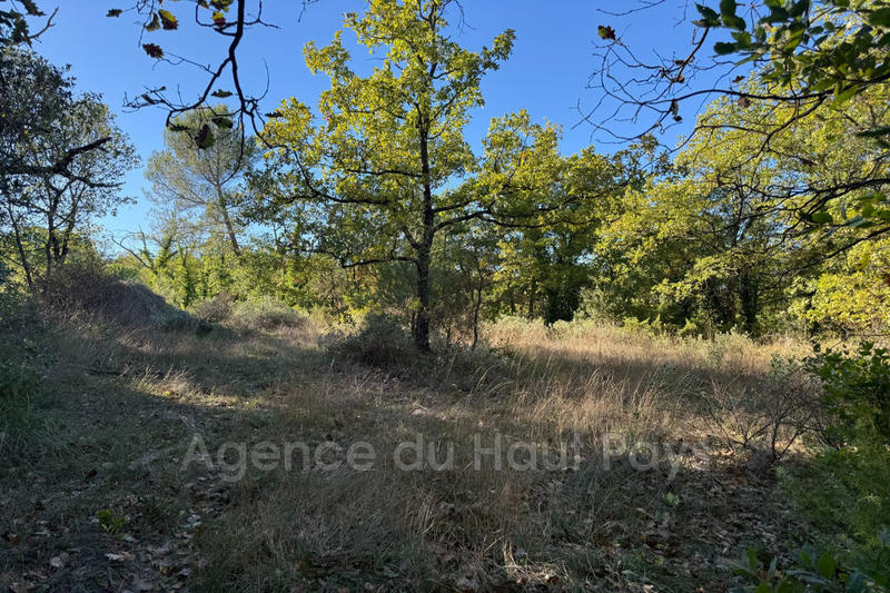 Terrain - 4 350 m²