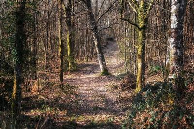 Manoir - 2 010 m² - 30 pièces