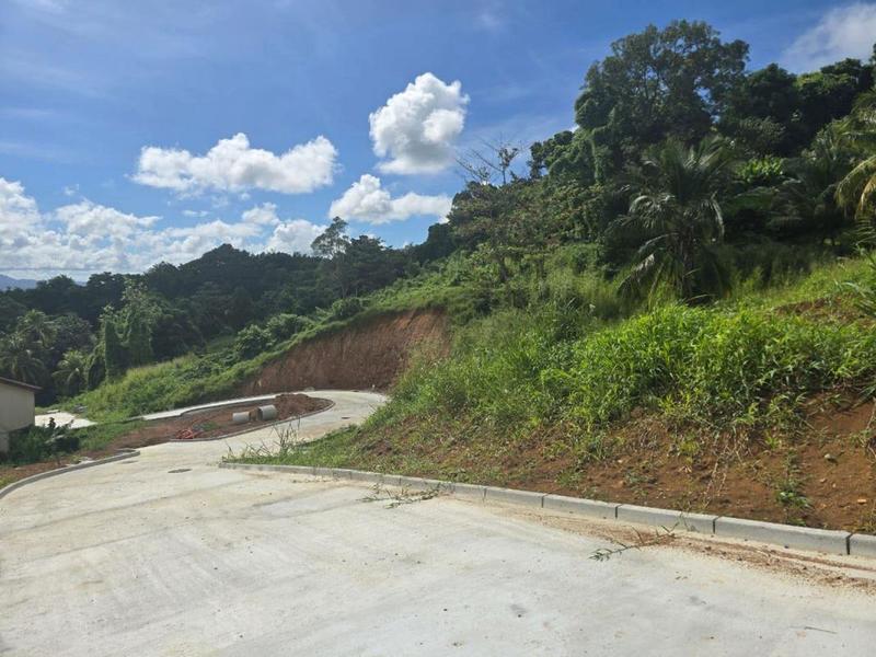 Terrain constructible