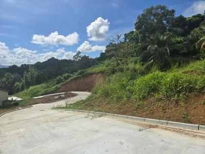 Terrain constructible