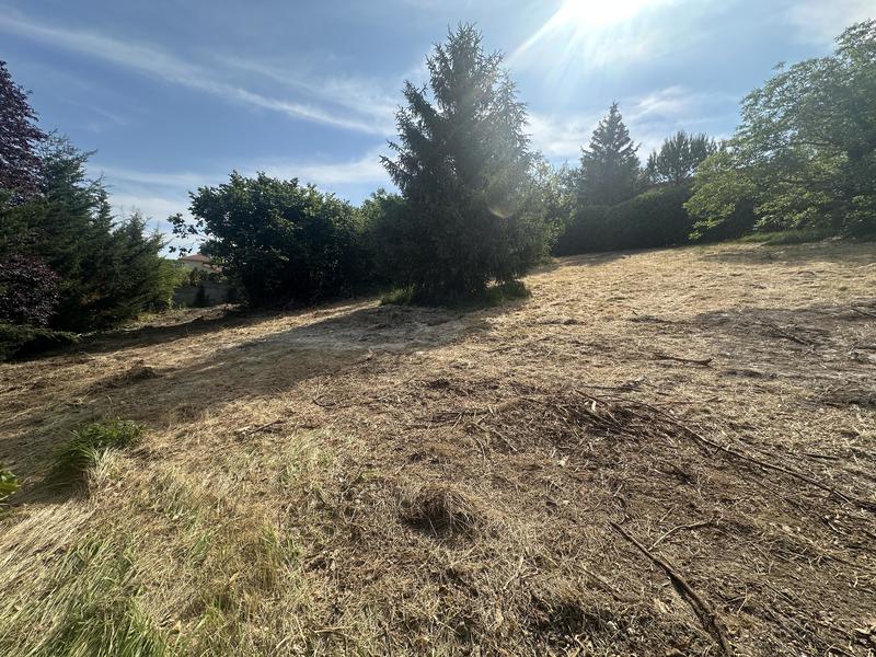 Terrain constructible - 1 556 m²