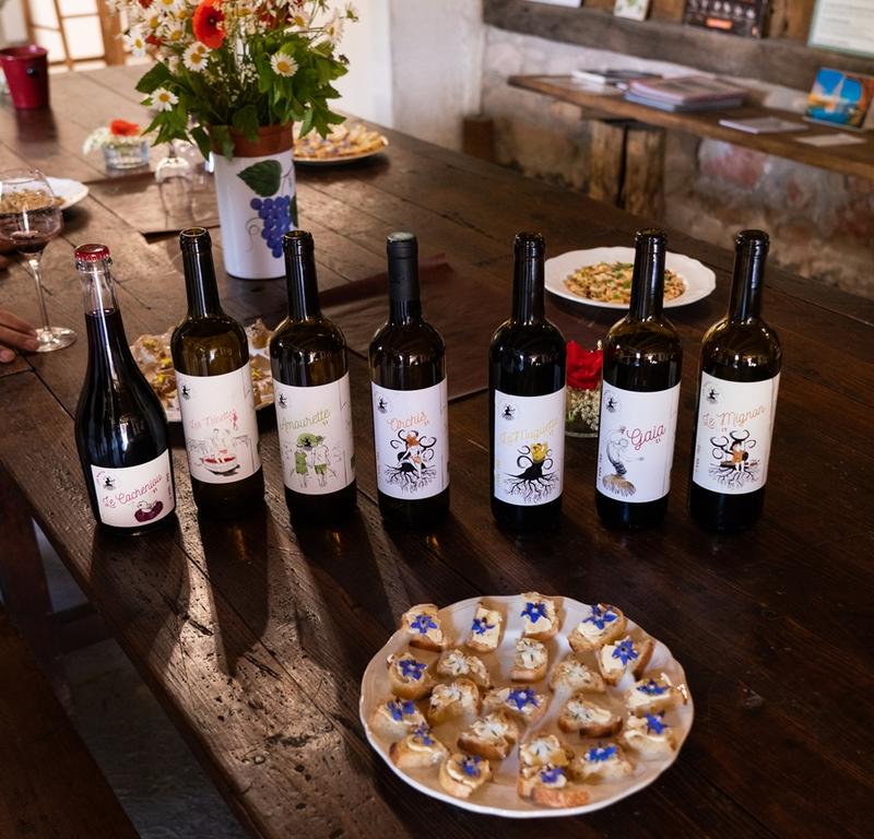 Le sentier des 5 sens au Domaine les Hauts de Riquets balade gourmande