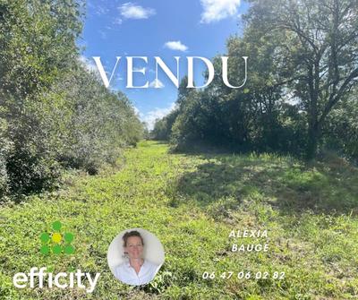 Terrain agricole - 20 160 m²