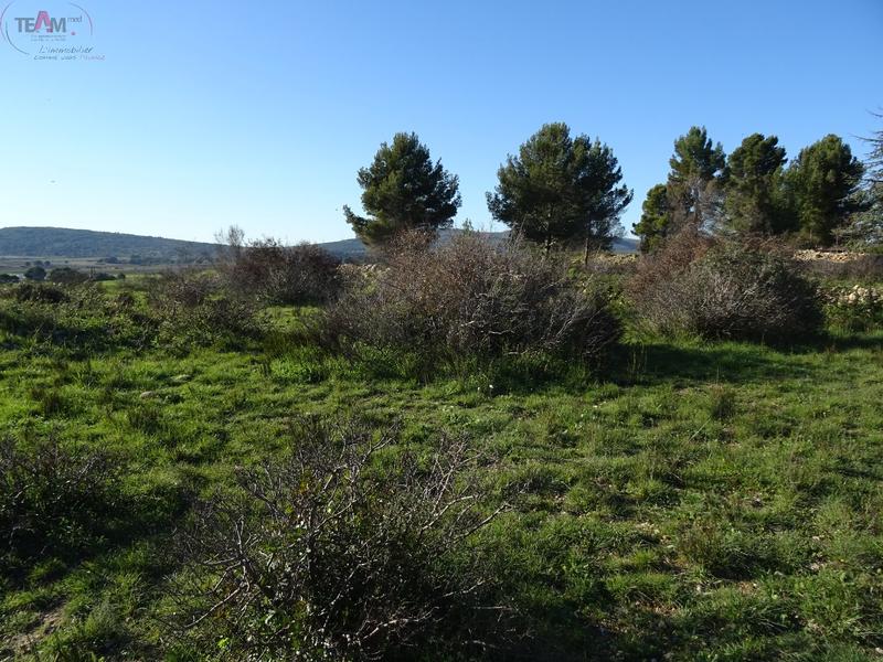 Terrain agricole - 4 720 m²