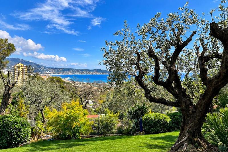 Studio - 35 m² - 1 pièce