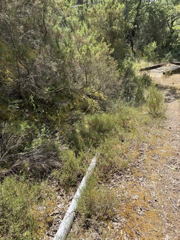 Terrain agricole - 80 000 m²