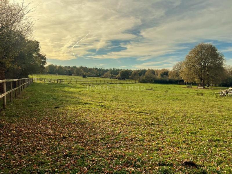 Maison de domaine équestre - 134 m² - 3 pièces