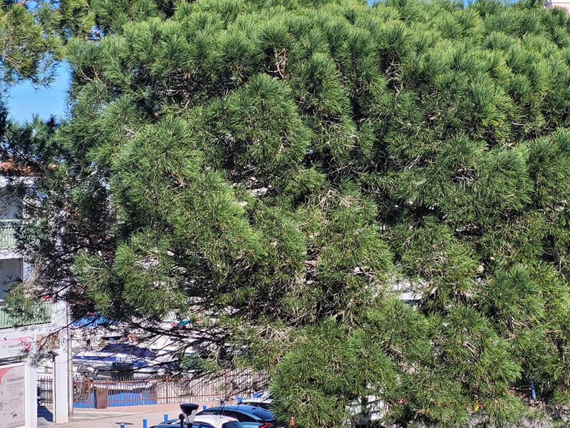 Appartement - 21 m² - 1 pièce