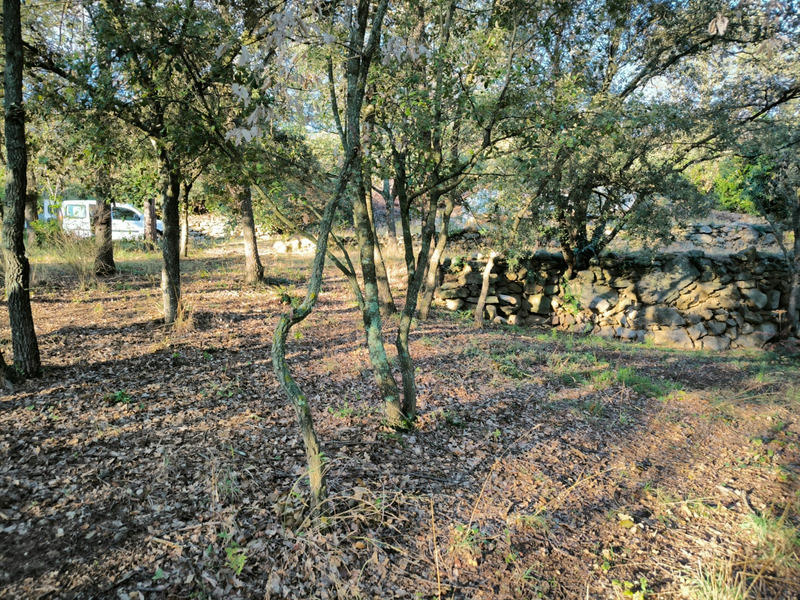 Terrain constructible - 1 070 m²