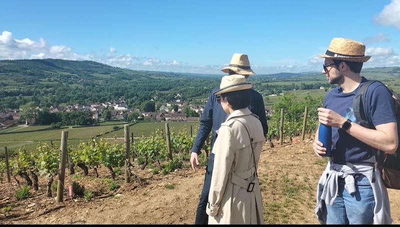 Sur les Pas du Vigneron