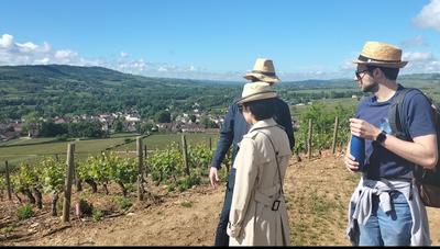 Sur les Pas du Vigneron