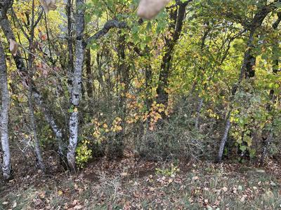 Terrain - 60 000 m²