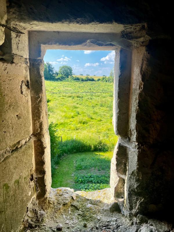 Château - 500 m² - 10 pièces