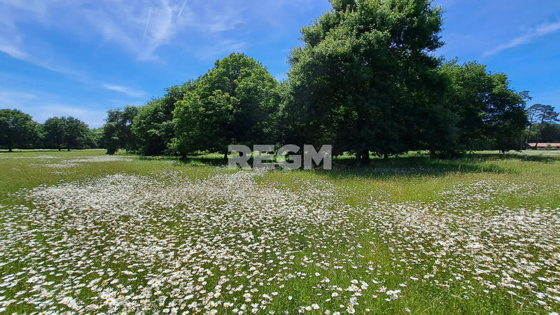 Propriété - 117 m² - 3 pièces