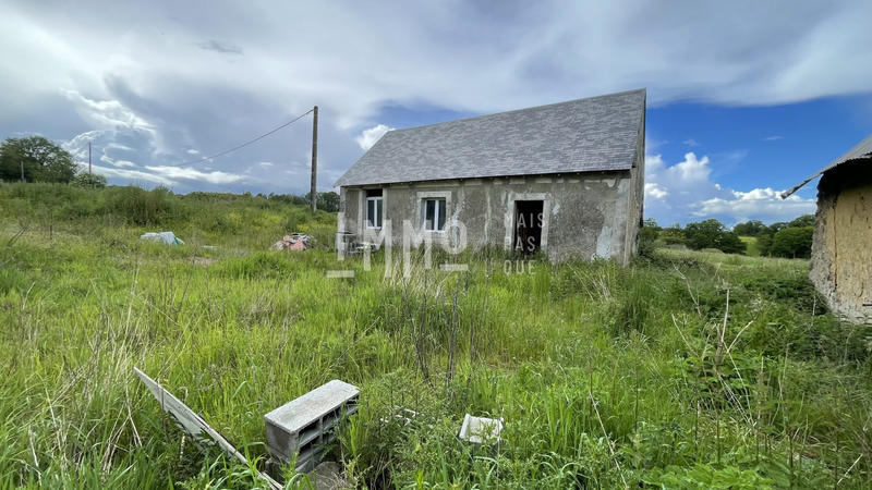 Maison ancienne - 60 m² - 1 pièce