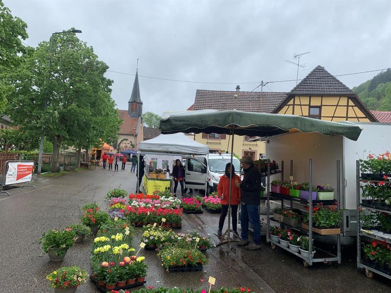 Printemps de Bassemberg