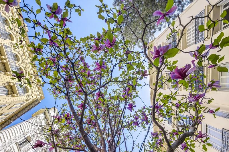 Appartement - 129 m² - 5 pièces