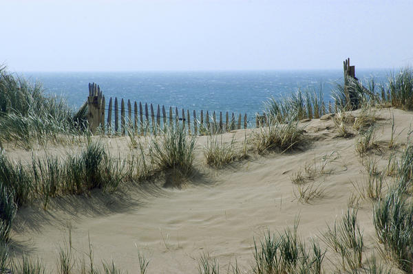 La Côte des Havres du Cotentin