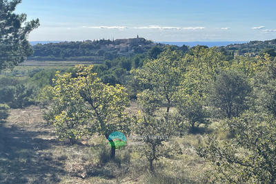 Terrain agricole - 6 120 m²