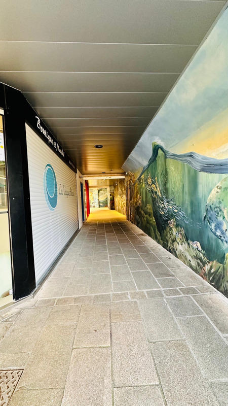 Appartement - 35 m² - 1 pièce