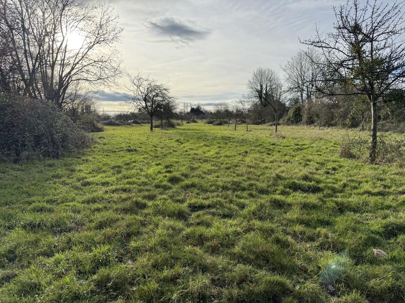 Maison ancienne - 150 m² - 5 pièces