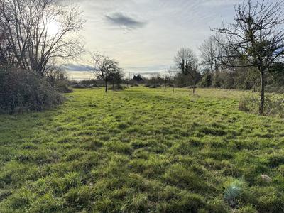 Maison ancienne - 150 m² - 5 pièces