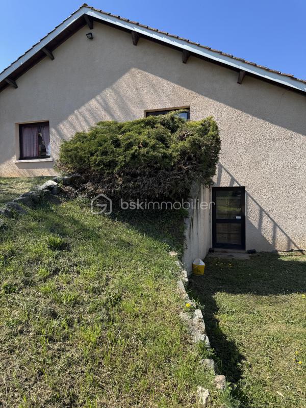 Local d'activité / Entrepôt - 316 m² - 10 pièces