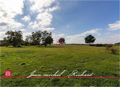 Terrain constructible - 5 550 m²