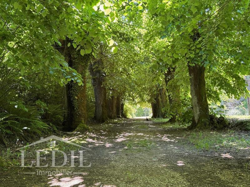 Propriété - 300 m² - 7 pièces