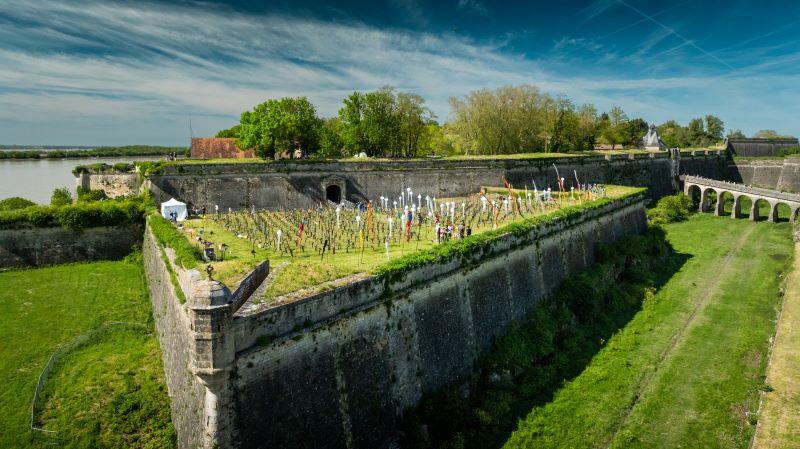 Printemps des vins de Blaye Côtes de Bordeaux