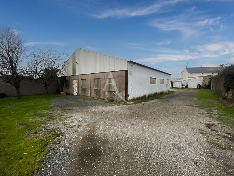 Local d'activité / Entrepôt - 250 m²