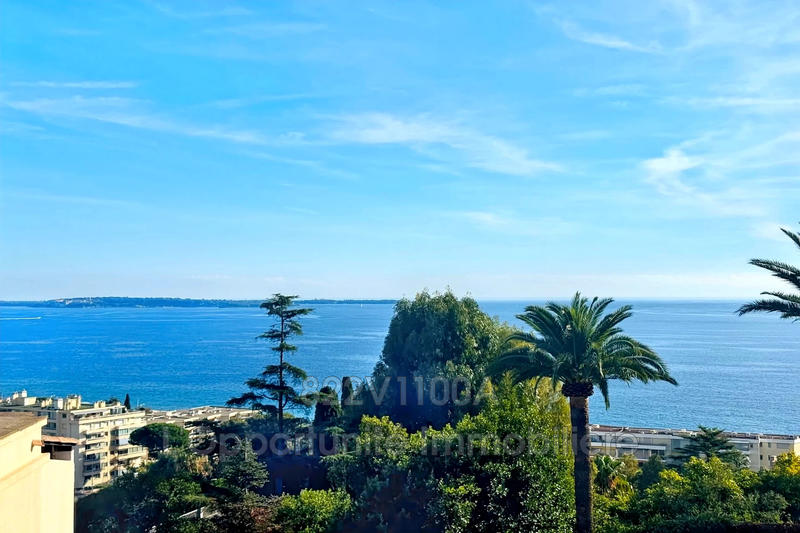 Appartement - 34 m² - 3 pièces