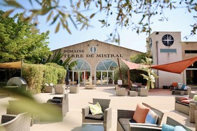 Visit of the vineyards of Terre de Mistral followed by a tasting session