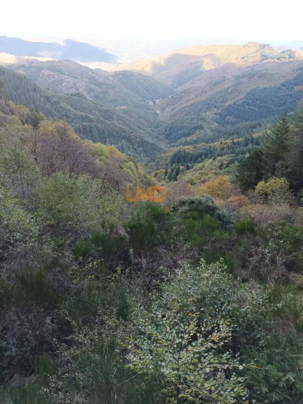 Mas - 162 m² - 10 pièces