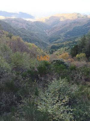 Mas - 162 m² - 10 pièces