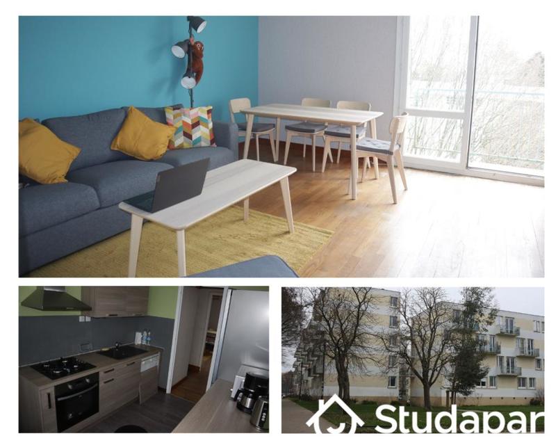 Chambre - 11 m² - 1 pièce