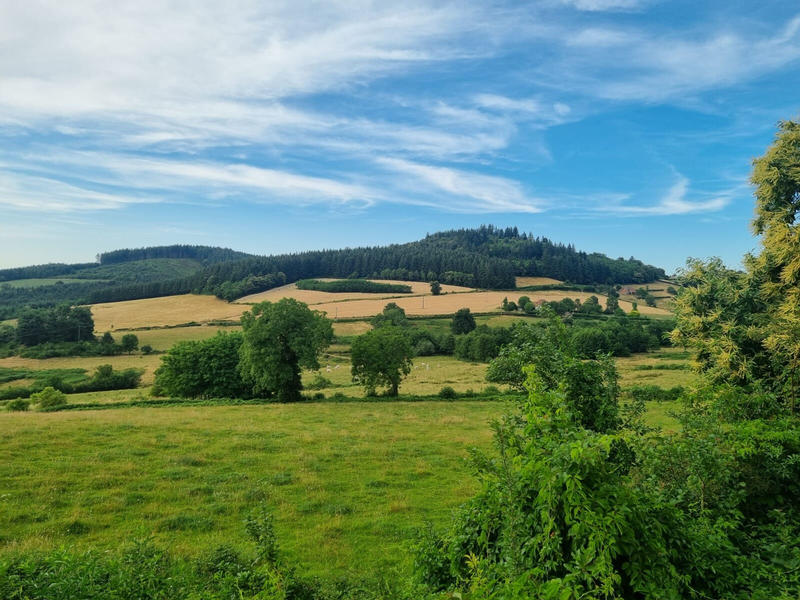 Maison - 132 m² - 6 pièces