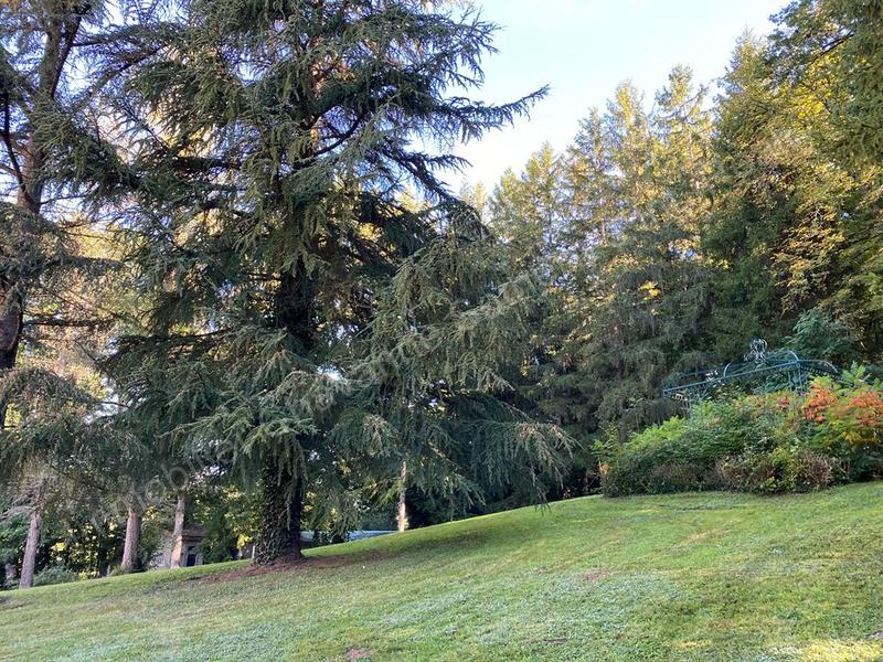 Maison - 552 m² - 11 pièces