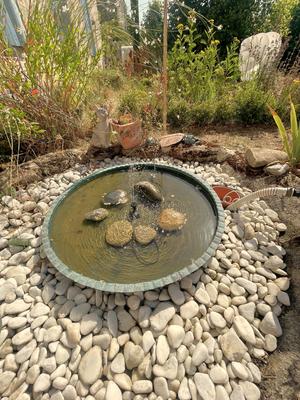 Maison - 278 m² - 10 pièces