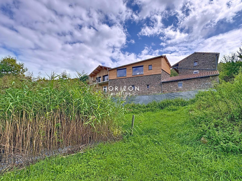 Maison ancienne - 540 m² - 13 pièces