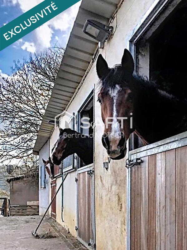 Maison - 450 m² - 20 pièces